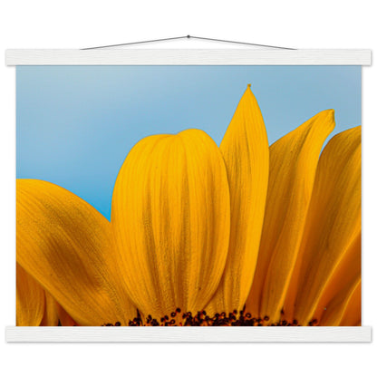 Sonnenblume Nahaufnahme Premium Poster mit Holzeisten