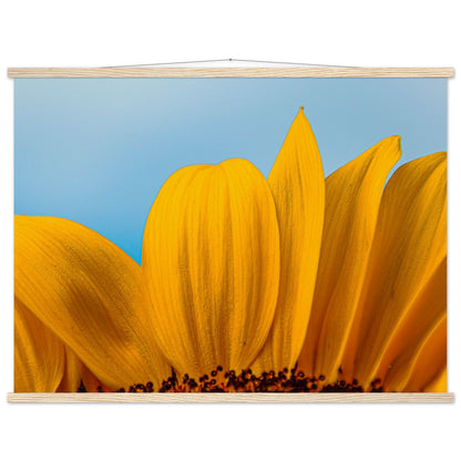 Sonnenblume Nahaufnahme Premium Poster mit Holzeisten