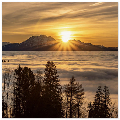 Nebelmeer Sonnenuntergang Premium Poster