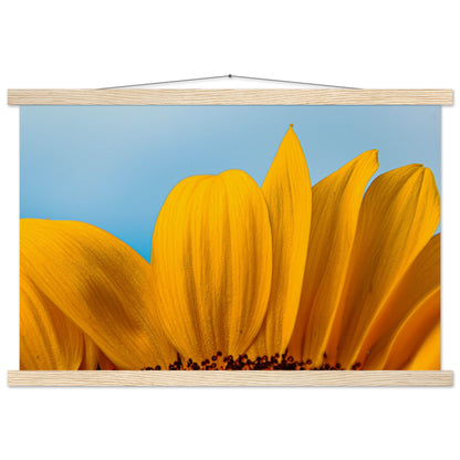 Sonnenblume Nahaufnahme Premium Poster mit Holzeisten