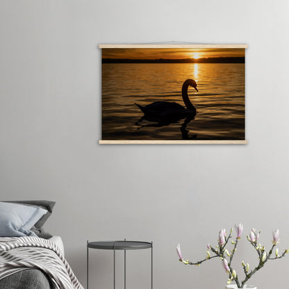 Schwan im Sonnenuntergang Premium Poster mit Holzeisten