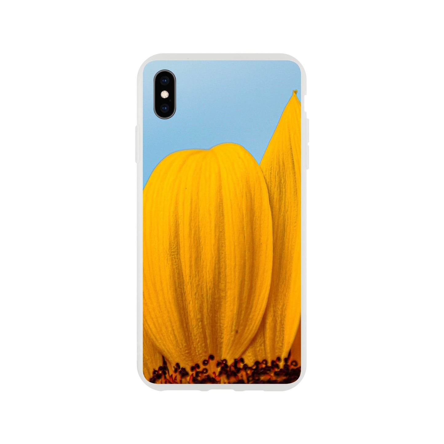 Sonnenblume Nahaufnahme Handyhülle Flexi Case - iPhone / Samsung