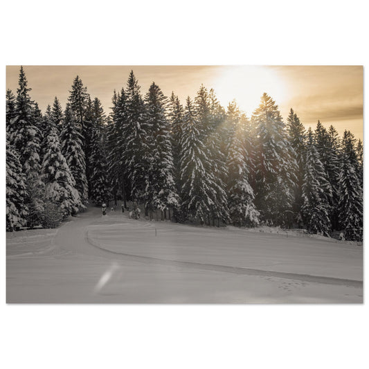 Sun rays over snowy forest - Premium Poster 