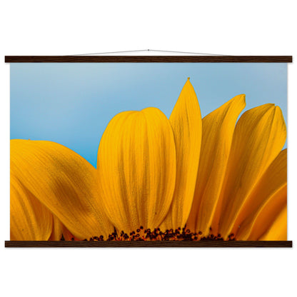 Sonnenblume Nahaufnahme Premium Poster mit Holzeisten