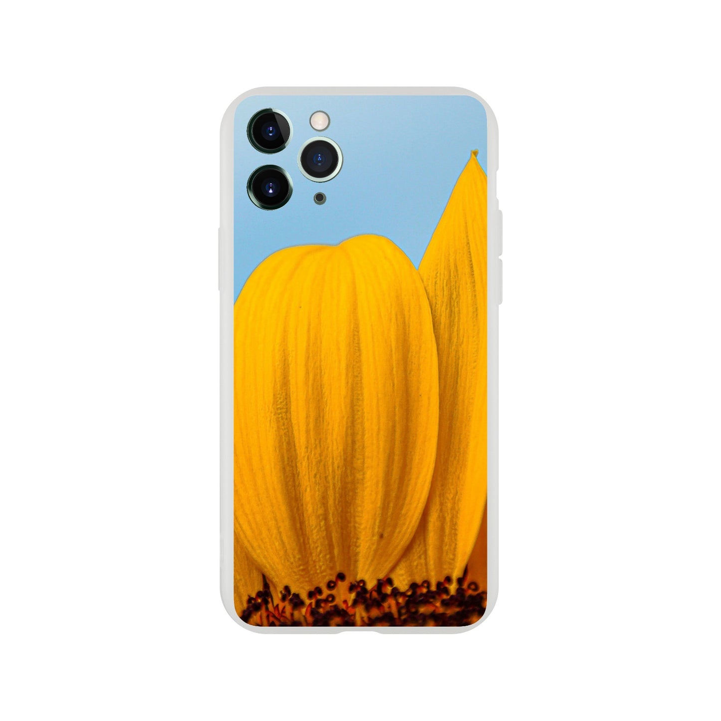 Sonnenblume Nahaufnahme Handyhülle Flexi Case - iPhone / Samsung