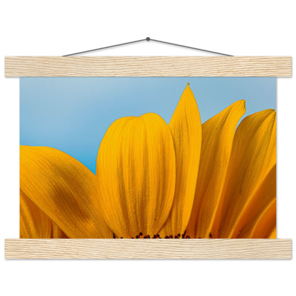 Sonnenblume Nahaufnahme Premium Poster mit Holzeisten