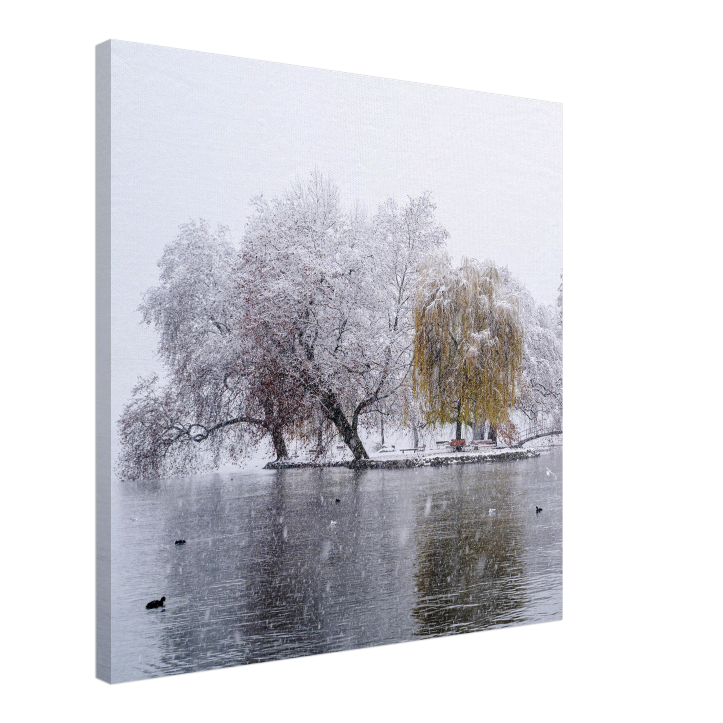 Schneefall im Villettepark auf Leinwand