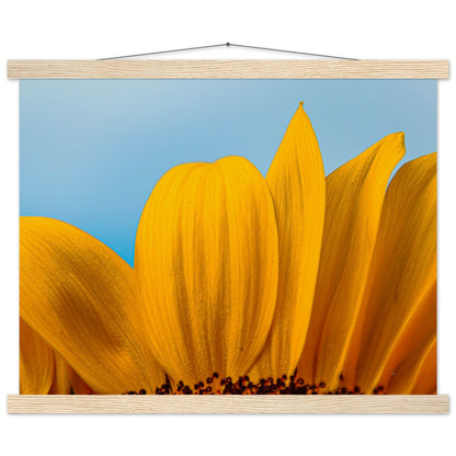 Sonnenblume Nahaufnahme Premium Poster mit Holzeisten