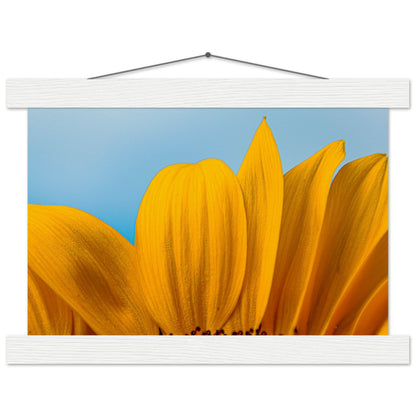 Sonnenblume Nahaufnahme Premium Poster mit Holzeisten