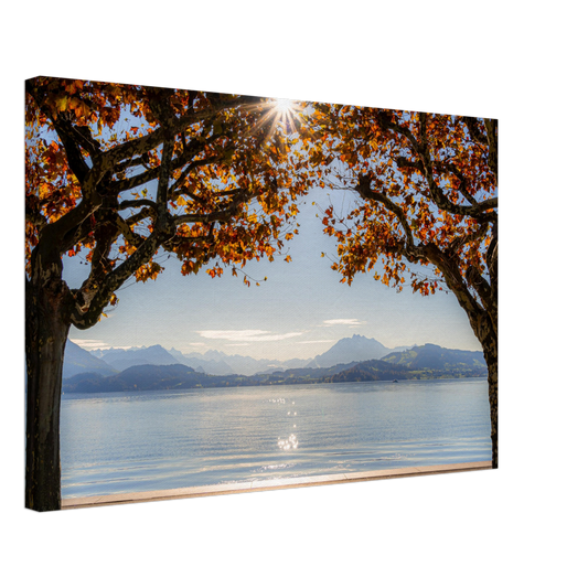 Herbst am Zugersee mit Sonnenstrahlen auf Leinwand