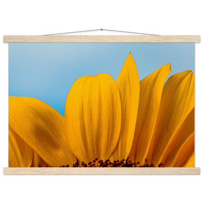 Sonnenblume Nahaufnahme Premium Poster mit Holzeisten