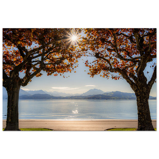 Herbst am Zugersee mit Sonnenstrahlen Premium Poster