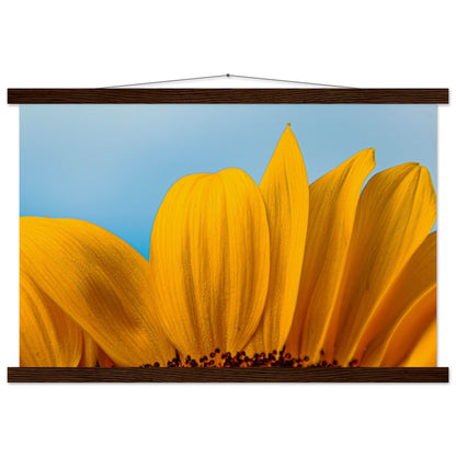 Sonnenblume Nahaufnahme Premium Poster mit Holzeisten